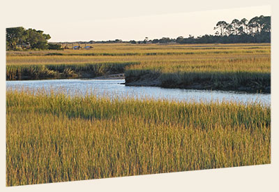 Image of a salt marsh along the coast with a water way in between