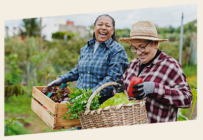 Image of two mutli-racial women smiling and laughing while holding carts and baskets of fresh vegetables