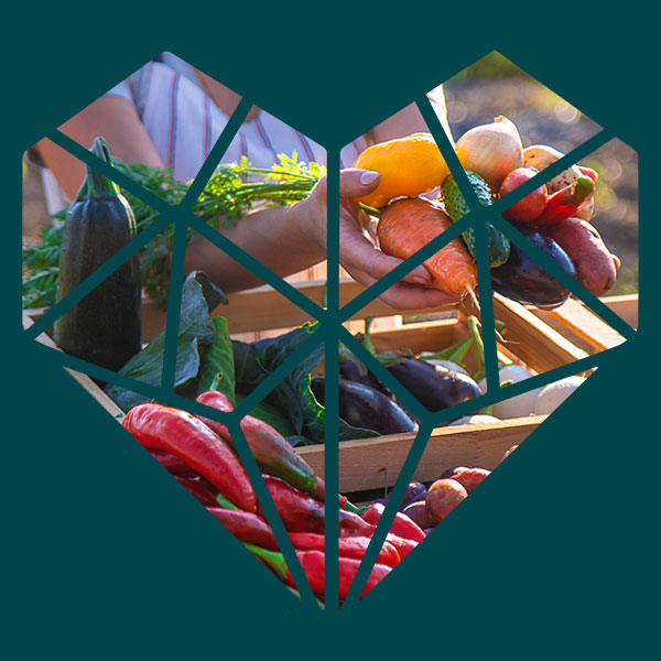 A set of female hands holding fresh vegetables at a farmer's market